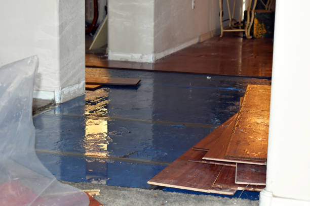 Professional Water Damage Restoration technician working in Saint Johns, MI