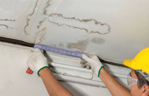 Reliable Water Damage Restoration contractor in Saint Johns, MI by Water Damage Irwin